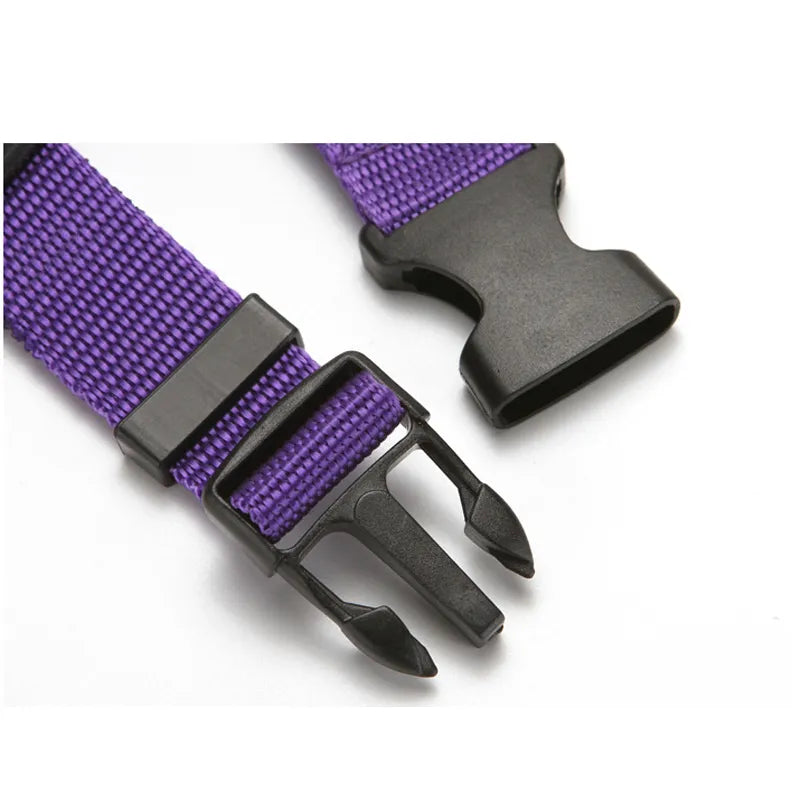 Pet Seat Belt Adjustable Harness Leash