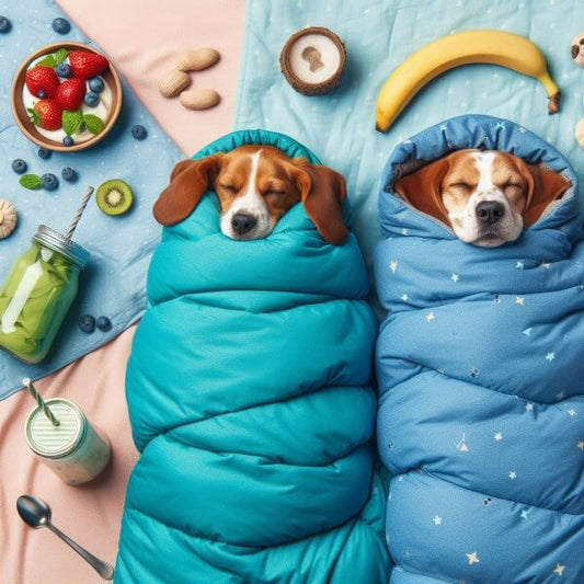 Do Dogs Prefer To Sleep In A Pack?