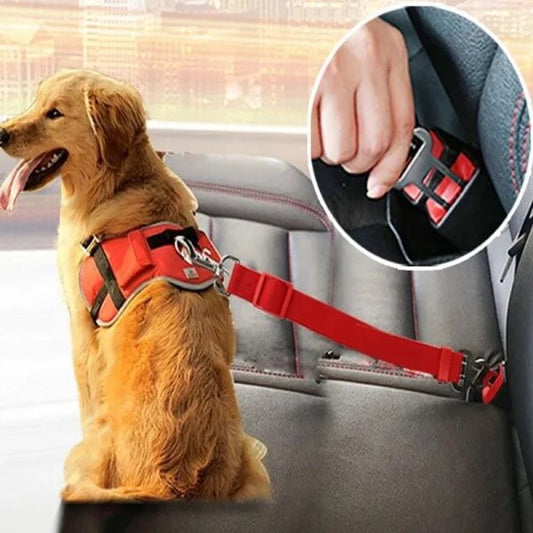 Review Pet Car SeatBelt Dog Seat Belt Leash Cat SeatBelts