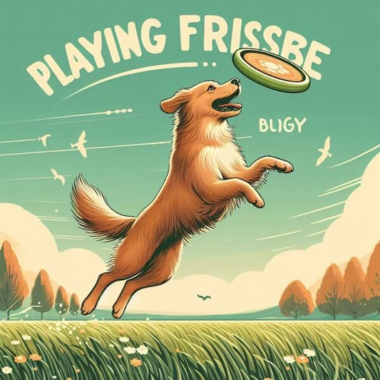 What Is The Best Frisbee For A Beginner Dog?