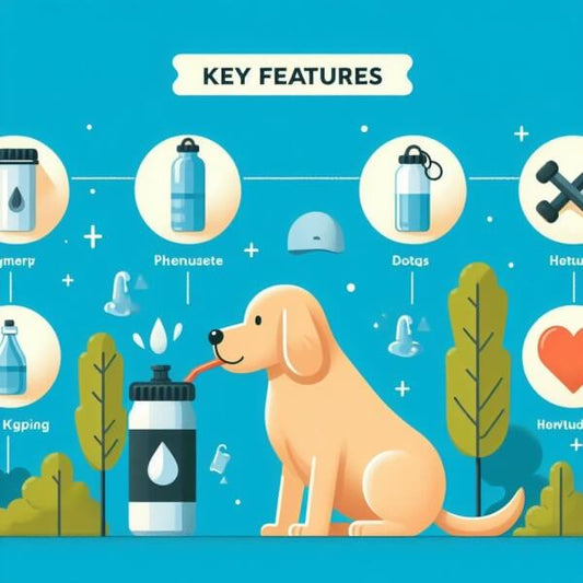 What Is The Best Travel Water Bottle For Dogs?