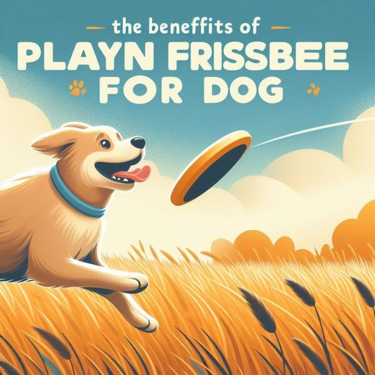 Which Dog Frisbee Flies The Farthest?