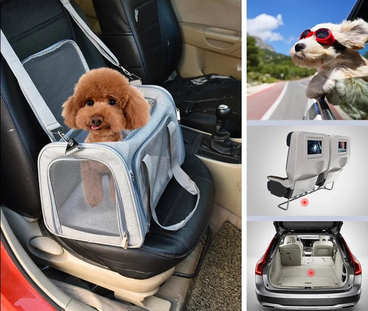 Travel-Friendly Pet Carrier Bag | Ideal for Small Dogs & Cats On-the-Go