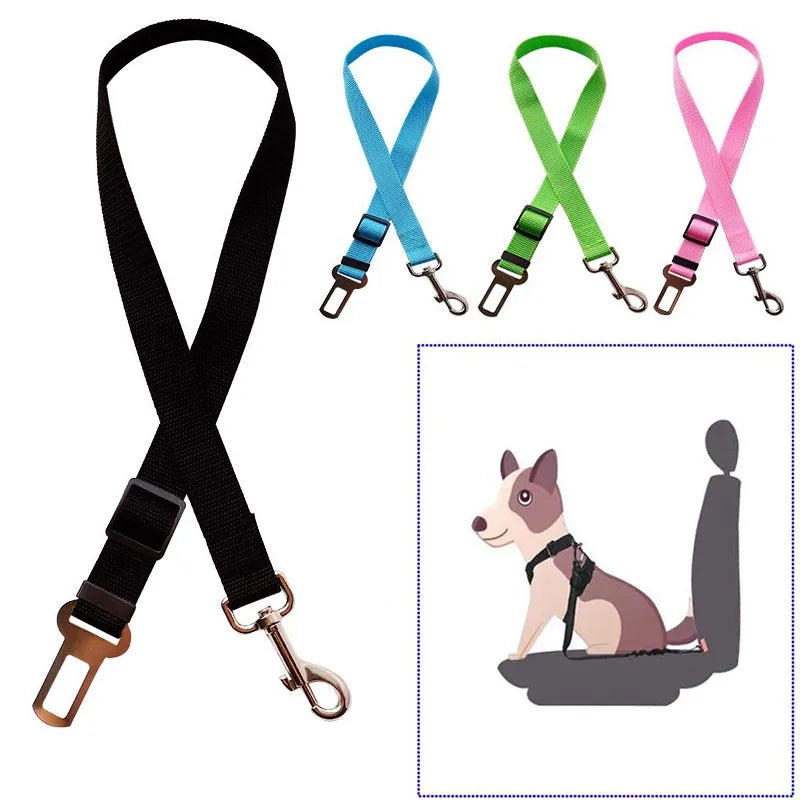 Adjustable Pet Car Seat Belt | Safety Harness for Dogs and Cats | Pet Vehicle Leash Encompass RL