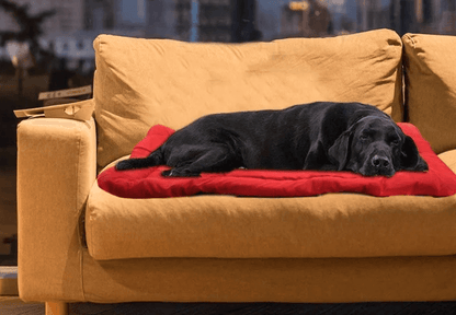 Car Dog Blanket for Camping Pet Bed