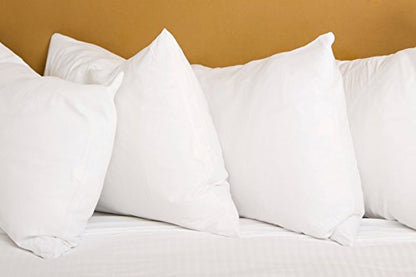 Digital Decor Pillows USA-Made Pillows