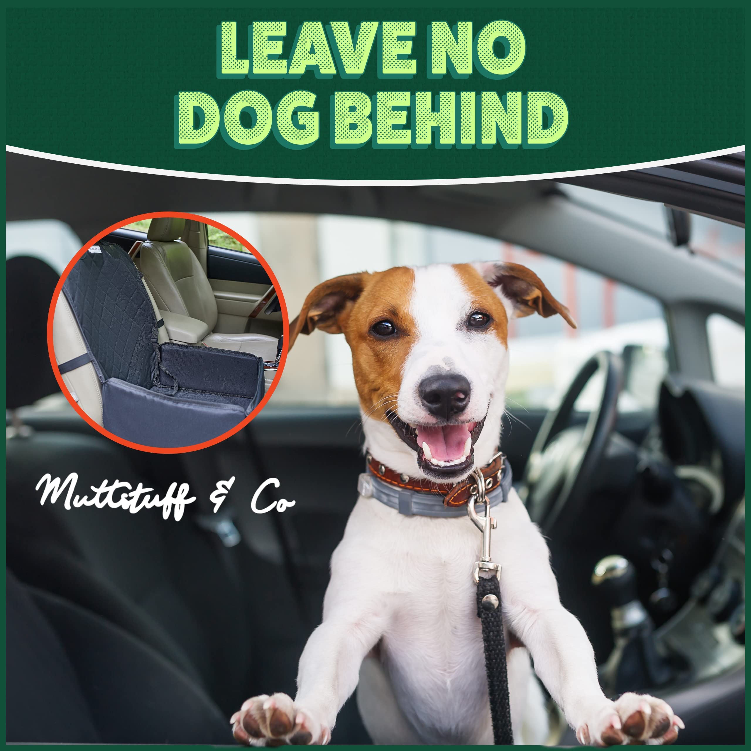 Dog front seat outlet harness