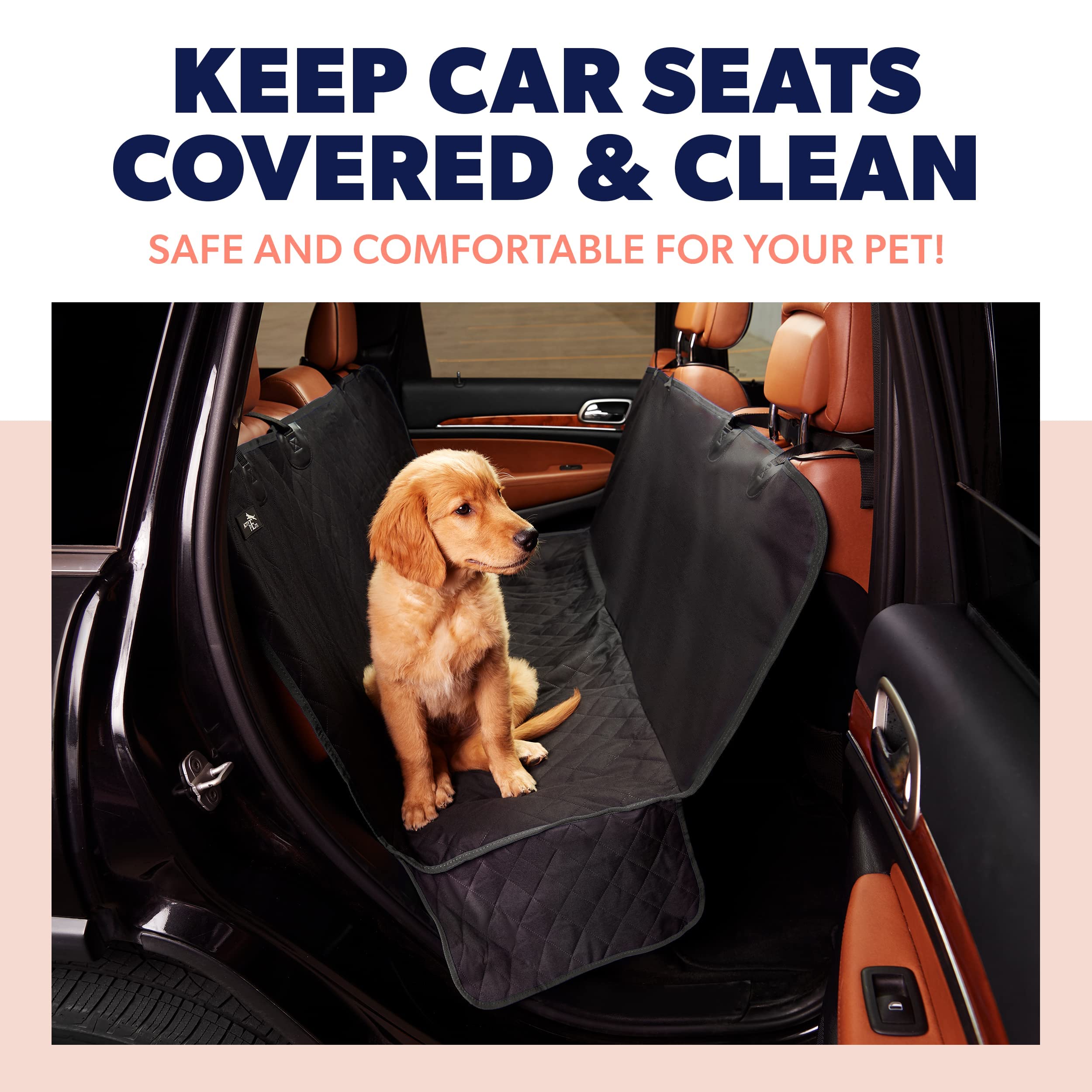 Keep dog clearance in back seat